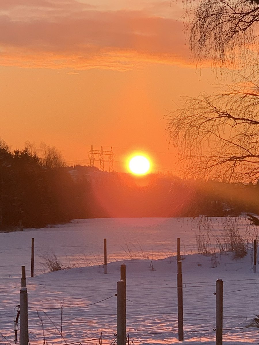 happy new year!!! 🌞✨🧡 tell me your new year’s resolutions, I need inspiration!:)