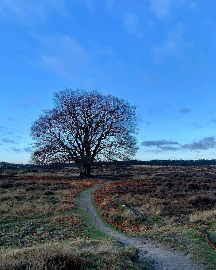 Emile Peters tweet media