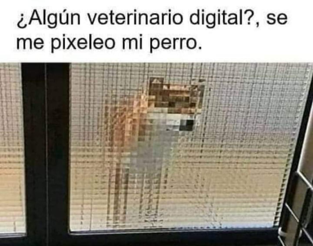 diegoacosta_soy's tweet photo. Hola??????? https://t.co/jqFkJ4nSbR