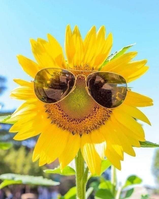 That afternoon he decided to move on and thought after all I don't take anything with me...😄🤩🤗