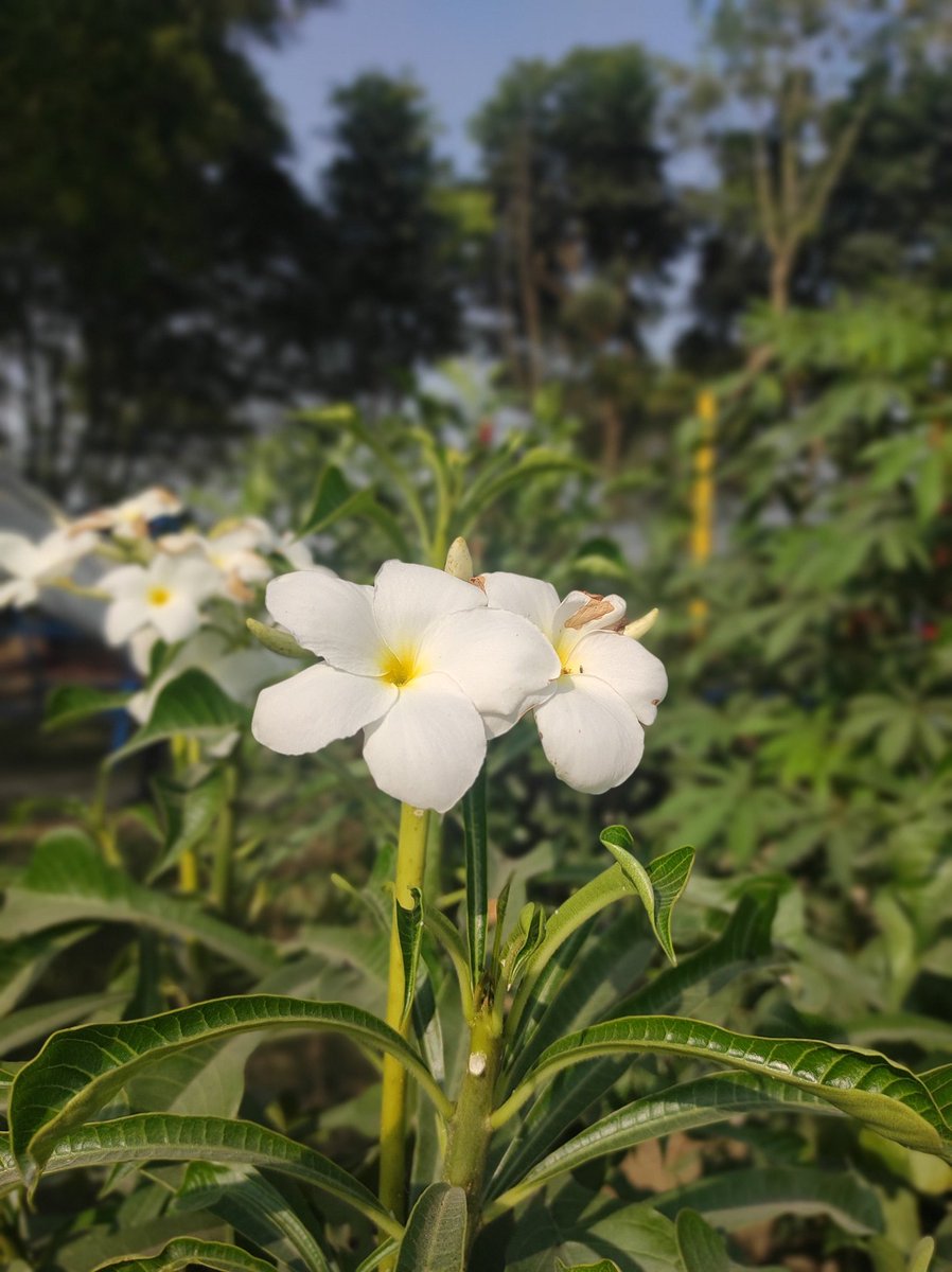 Praying that 2022 will be kinder to the ones who deserve more kindness.