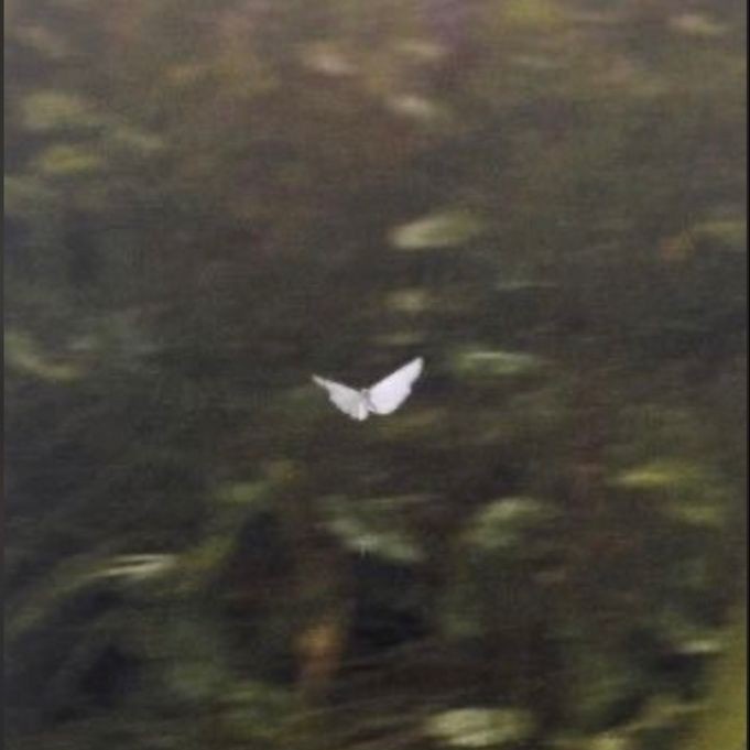 тред фраз Ким Сону, которые возможно помогут вам так же, как помогают мне🥺🤍