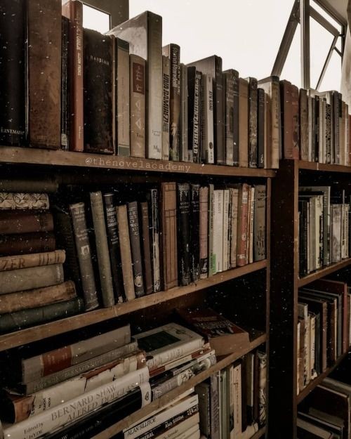 AcademiaDreams's tweet photo. “Books are the quietest and most constant of friends; they are the most accessible and wisest of counselors, and the most patient of teachers.”

— Charles W. Eliot https://t.co/XDyDgNvbeJ