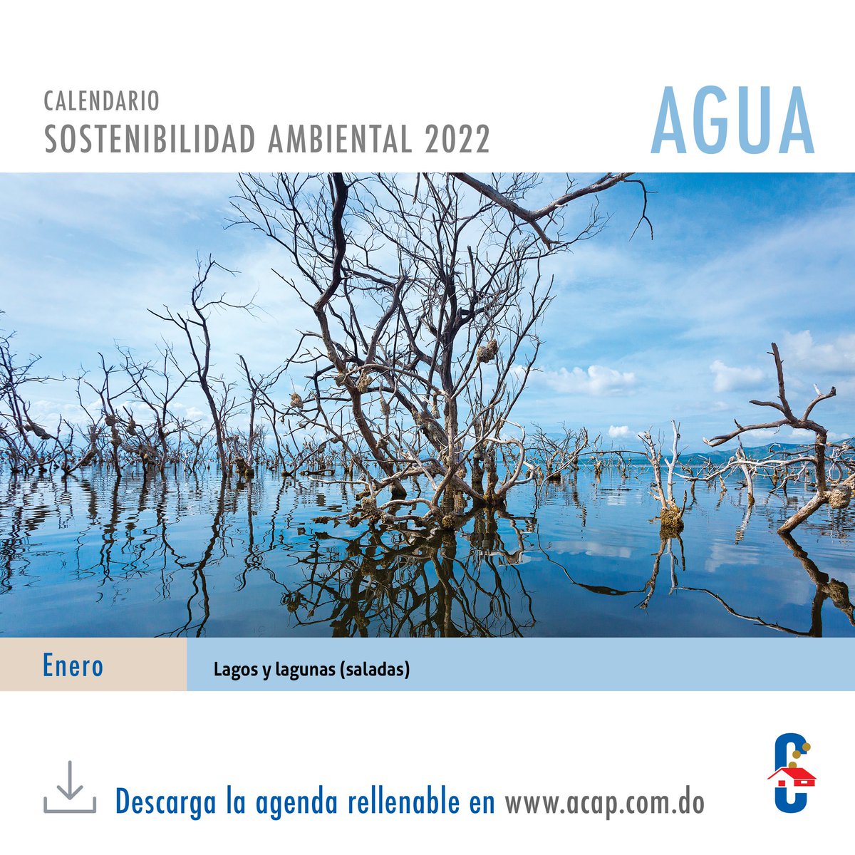 cibaodom's tweet photo. La República Dominicana tiene algunos de los cuerpos de agua interiores de mayor tamaño del Caribe. Entre ellos, destaca el Lago Enriquillo, de aguas altamente salinas. En él sobrevive la última población que nos queda de cocodrilo americano (Crocodylus acutus). 

#RSCACAP https://t.co/HzHzRVUdg1