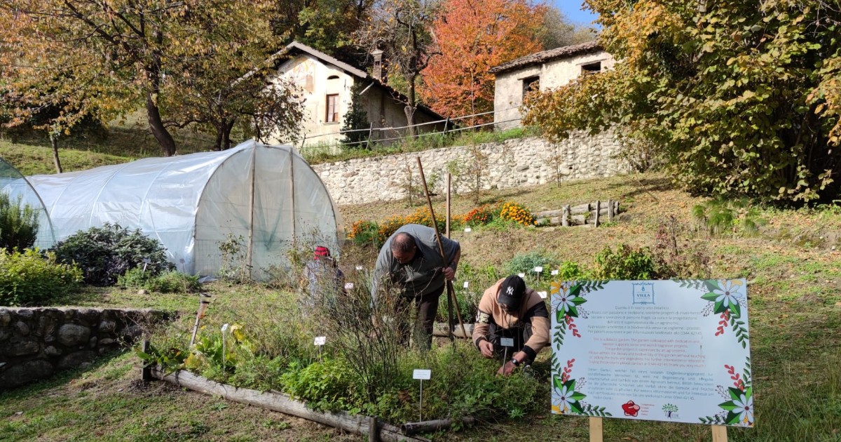 Como, i terreni abbandonati rinascono con l’aiuto di migranti e disabili: è il progetto “Lariomania” dlvr.it/SGPCdP
