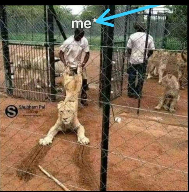 nah_zeer's tweet photo. Crush: I like brave men 

me: https://t.co/Ck3Q9CqUqi