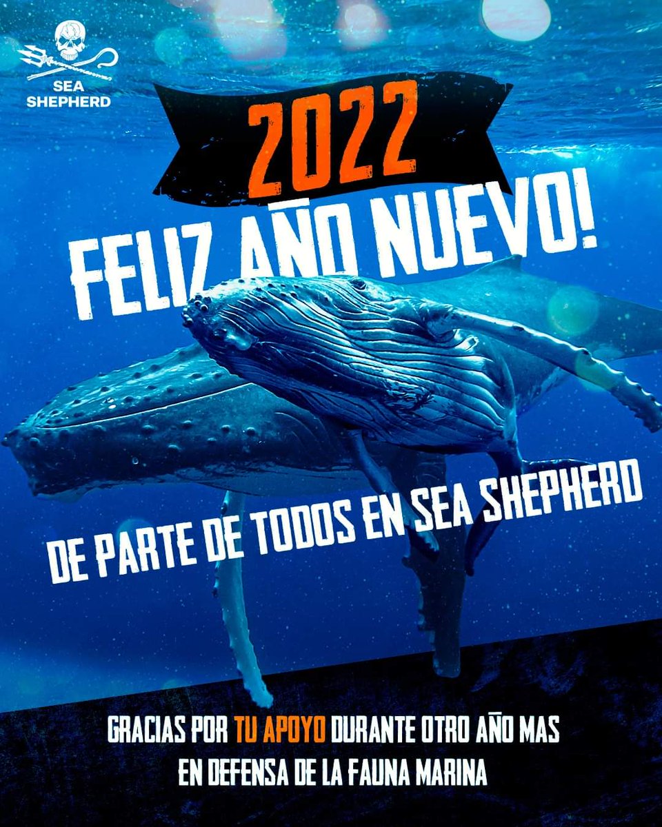 Sea Shepherd Argentina (@seashepherdarg) on Twitter photo 