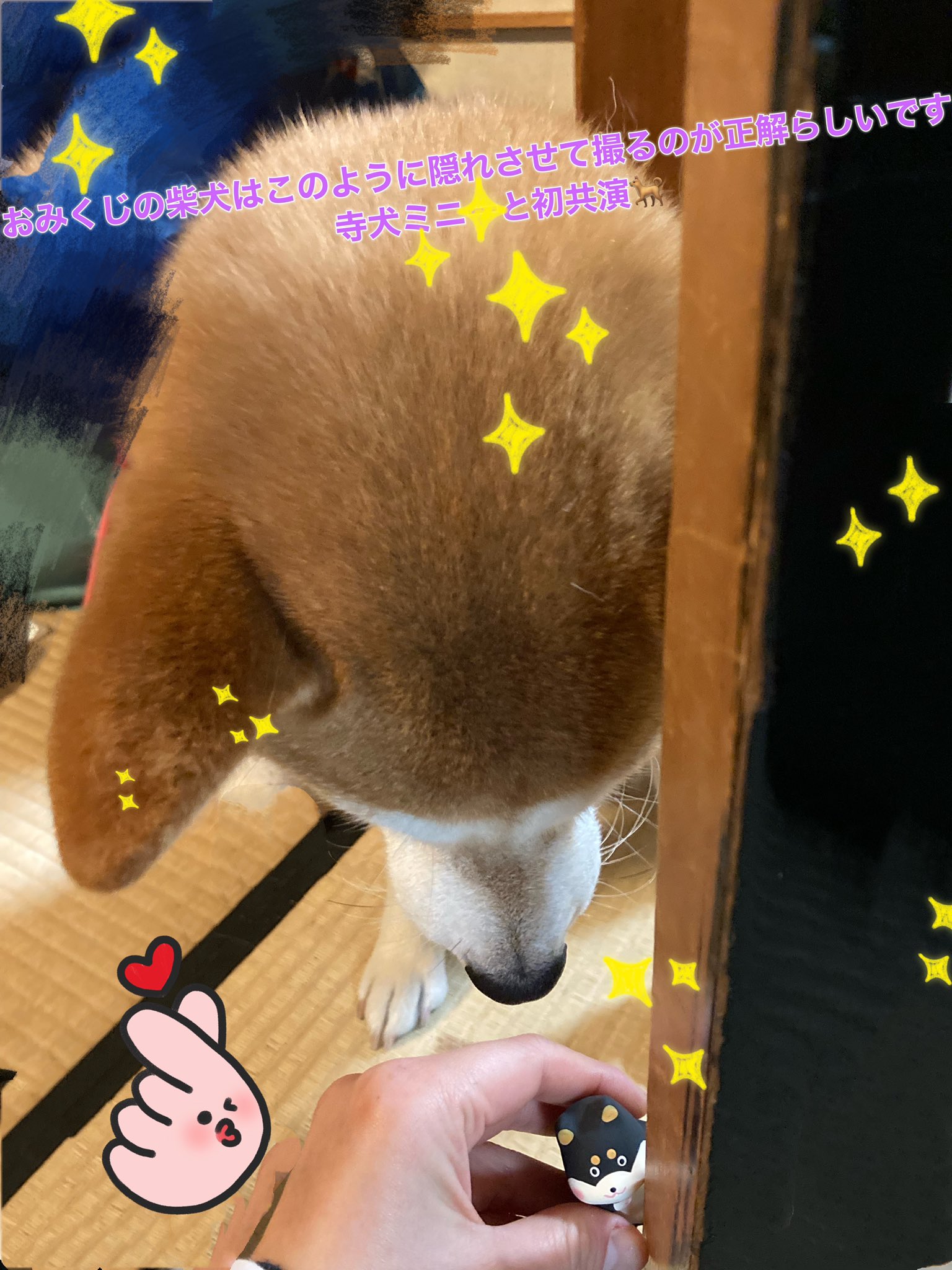 霊源院 Reigenin Twitter