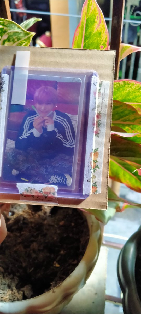 ksnbuy's tweet photo. . . . #i23claims ! ☺︎︎

꒰ #093proofs @093PSH ꒱

─ sunoo pen haver ! tnx for the freebies . . . overall 10/10 bc of the SMOOTH transaction ! https://t.co/ehb0shgA1X