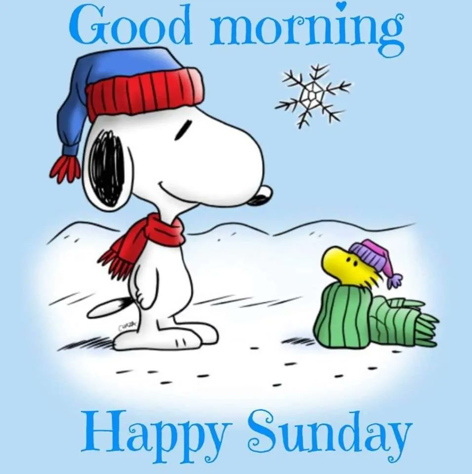 Cathy в Twitter: „#GoodMorning #HappySunday It is the first Sunday ...