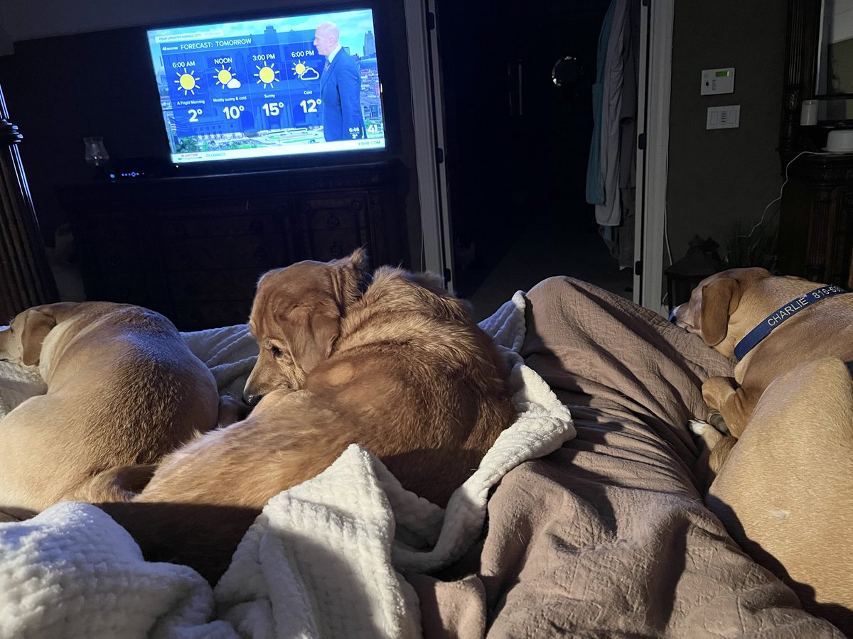 PHIL LeVOTA tweet media