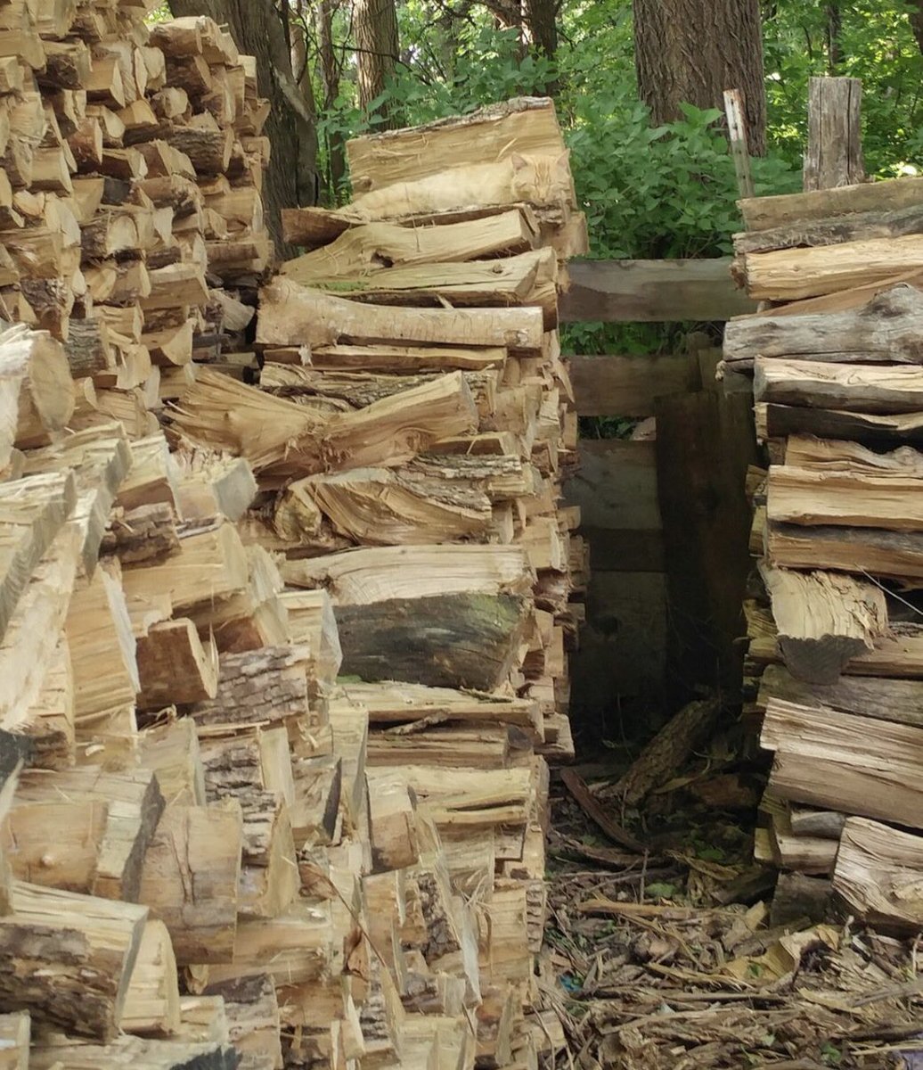 There is no cat in this image (@thereisnocat_) on Twitter photo 