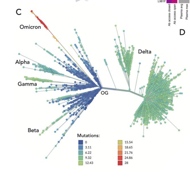 covid19 - Coronavirus 7 - Page 25 FIG_Ie_X0AAT8Ft?format=png&name=small