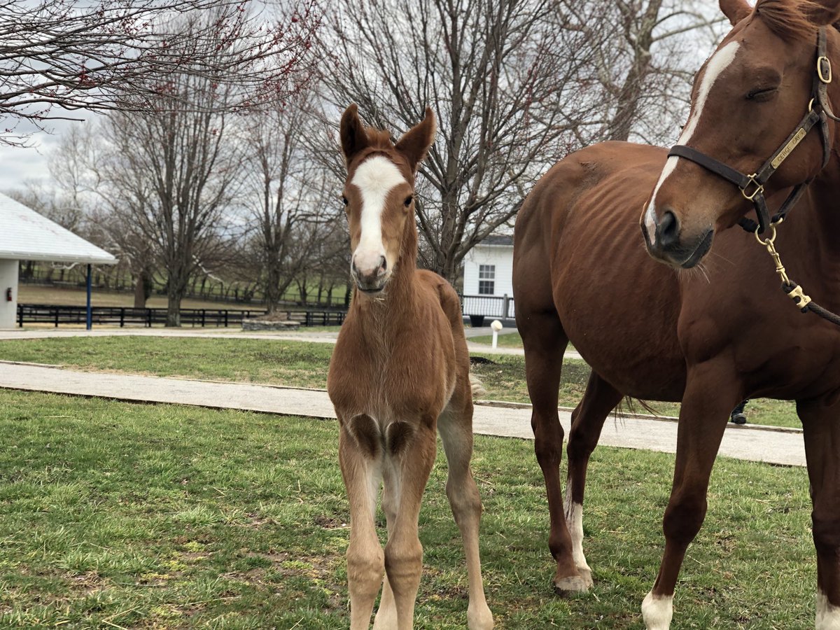 Magdalena Farm tweet media