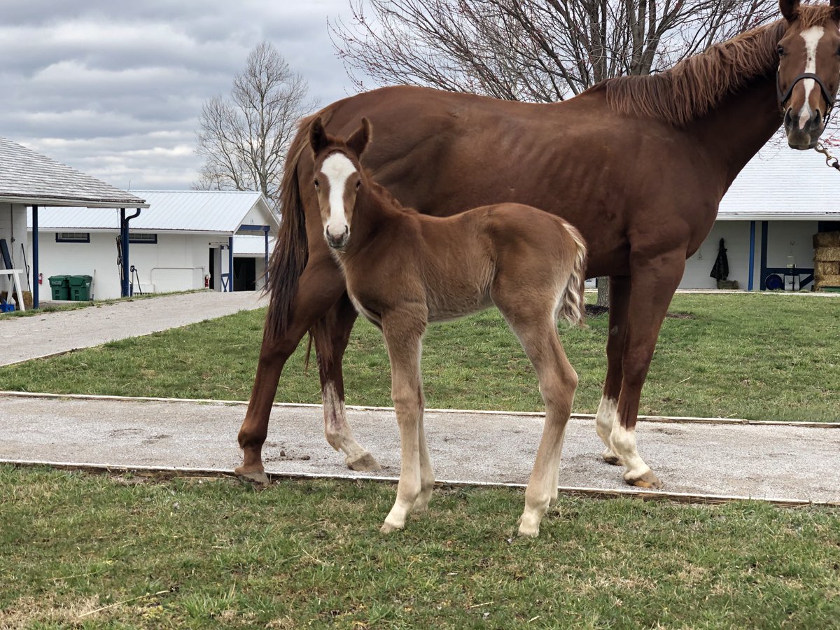 Magdalena Farm tweet media
