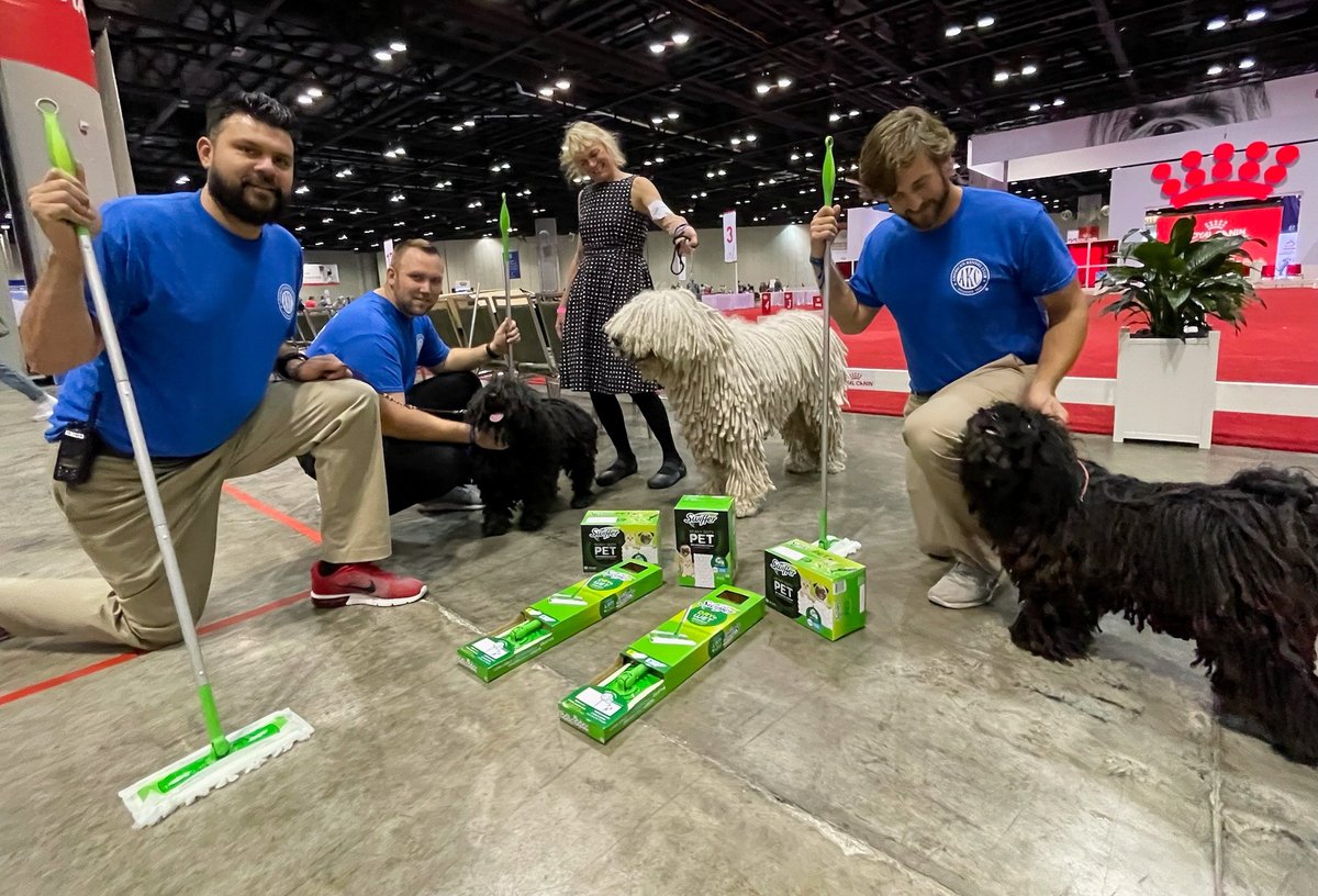 Swiffer (@swiffer) on Twitter photo As a proud partner of <a href="/akcdoglovers/">American Kennel Club</a>, Swiffer is all about executing a top-tier performance alongside the nation’s best dogs! Tune into the AKC National Championship on ABC @ 2 PM ET today to watch the dogs (and Swiffer) do what they do best. As a proud partner of <a href="/akcdoglovers/">American Kennel Club</a>, Swiffer is all about executing a top-tier performance alongside the nation’s best dogs! Tune into the AKC National Championship on ABC @ 2 PM ET today to watch the dogs (and Swiffer) do what they do best.