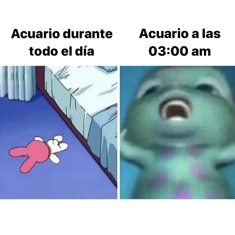 acuario_hn tweet picture