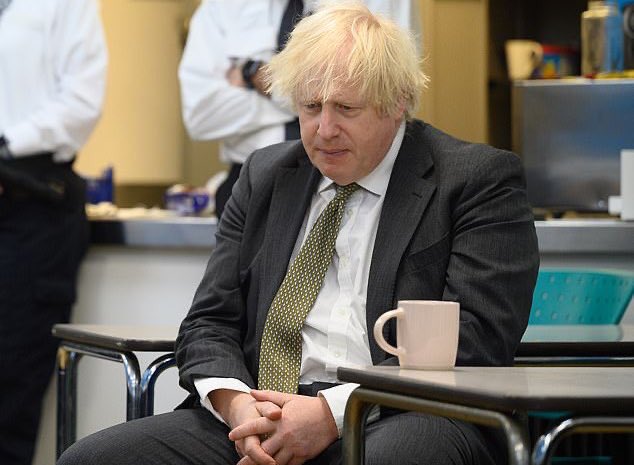 dave ❄️ 🥕 🧻 tweet media