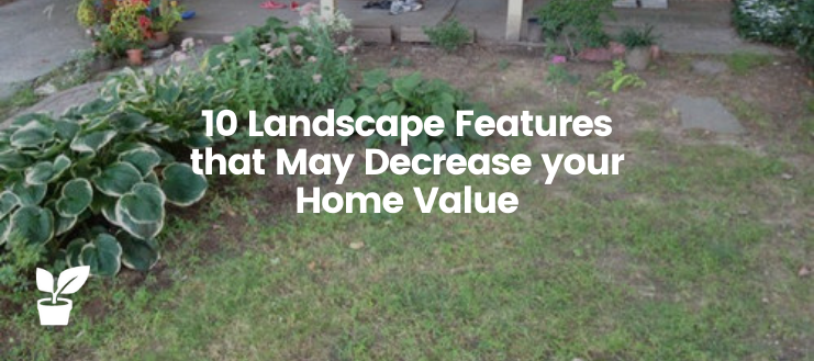 Here are ten landscape features that may actually decrease the value of your home, but with little effort, you can make a huge difference.

#LandscapeFeatures #BeginnersGardening #GardenLawn #IrrigationSystem #Garden #Gardening