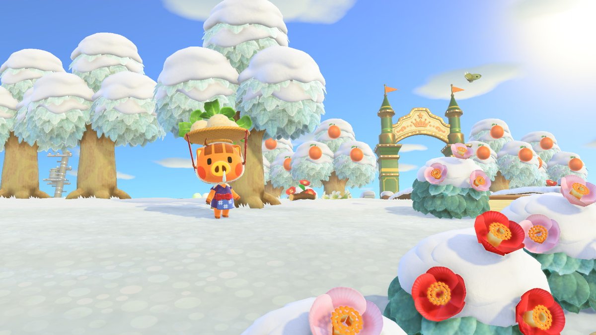 TheBarnnOwl's tweet photo. happy sunday~ make sure to say hi to daisy mae <3 #AnimalCrossing #ACNH #NintendoSwitch https://t.co/zpavUBMzZc