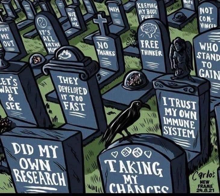 The Resistor Sister®️♥️🇺🇸 tweet media