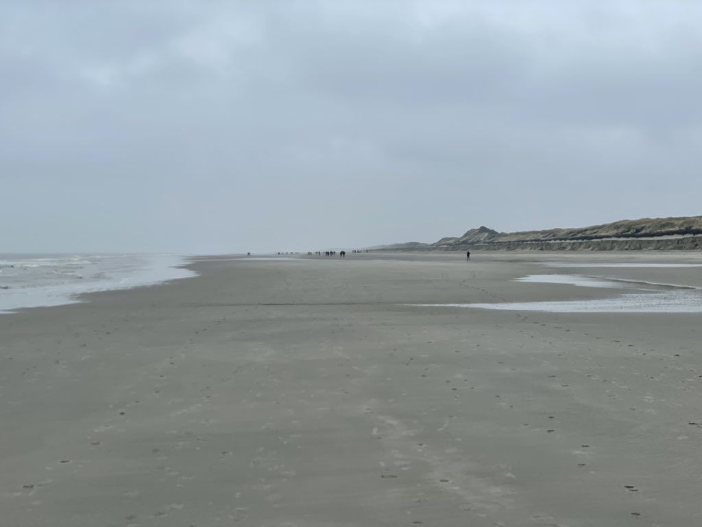 dreszler_dev's tweet photo. Hey @insel_Langeoog! 
Schön war’s mal wieder! Neu 🎉 ne­be­lig 🌫 stürmisch 🌬 sonnig ☀️- einfach schön 🤩 Auf Wiedersehen 🤙 #langeoog https://t.co/FbOiw7teYx