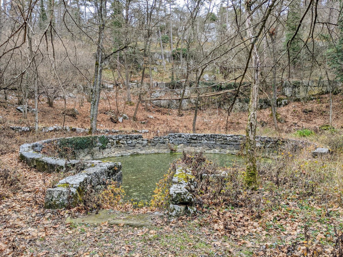 WhereDoITake's tweet photo. An easy walk through the forest to get to a Roman cistern

https://t.co/8P13512BEX

#Walks #Roman #Trieste #Italy https://t.co/Blds6CXOkJ