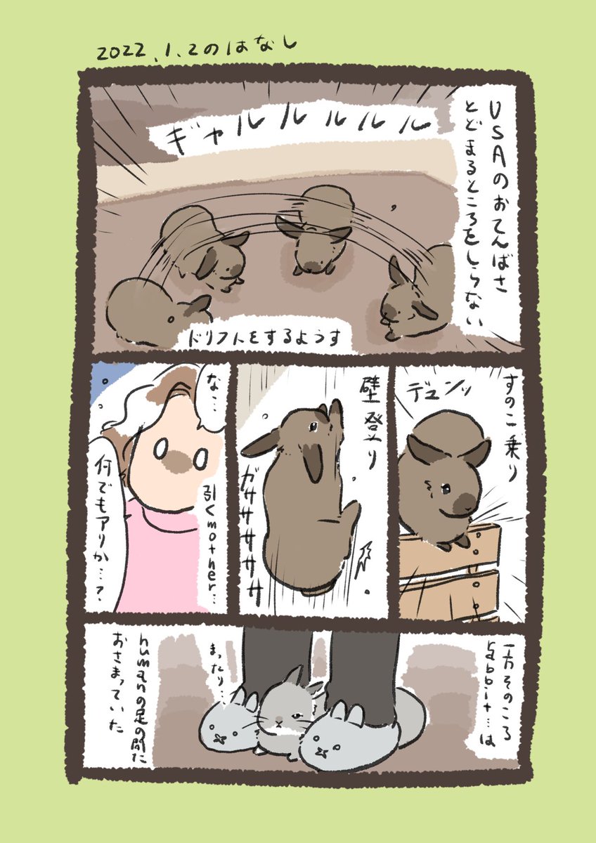 今日のrabbit…とUSA
#うさぎのいる生活 