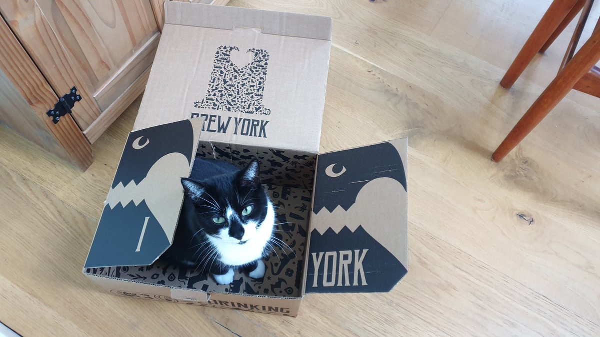 Our @brewyorkbeer subscription is very popular with our two cats @two_kitten - @allanconneryork and I get the beer and they get the box! (Summer in this picture)