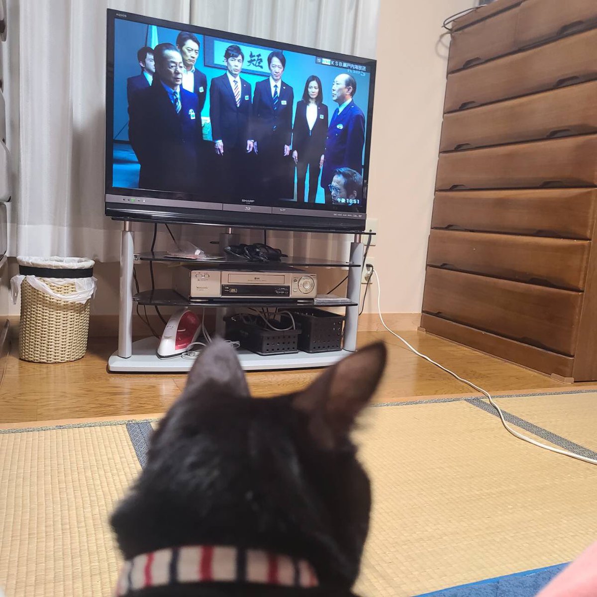 相棒 出演者 最新情報まとめ みんなの評価 レビューが見れる ナウティスモーション 39ページ目