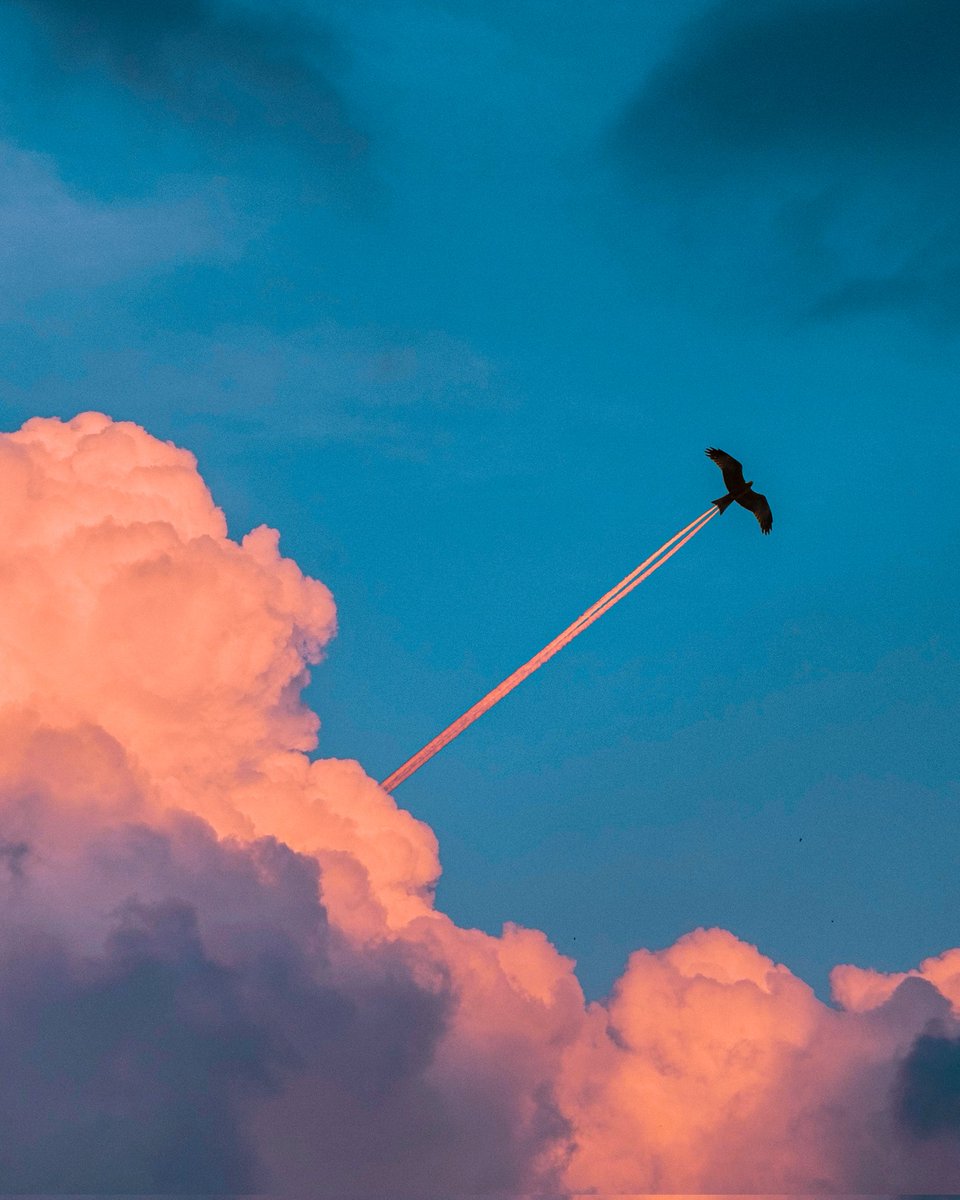 GM #NFTCommmunity
2022 is the year of NFT

I was so lucky to grab the last piece of this dope #nftart
By <a href="/ThisIsShivayy/">Shivay</a>
&amp; so thankful for the gifts of <a href="/KevazyAI/">Kevazy</a> much love ❤️ 
x.com/shobbach/statu…