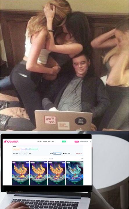 CryptoBB24's tweet photo. #KANARIA the only birds I care about in my life at the moment. $RMRK https://t.co/9kW40Nof0H