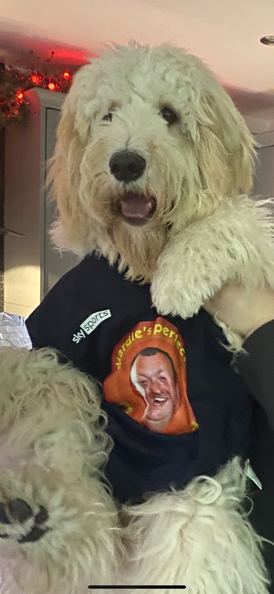 GentleMedia1's tweet photo. @Wayne501Mardle great fit https://t.co/oXIj12SII8