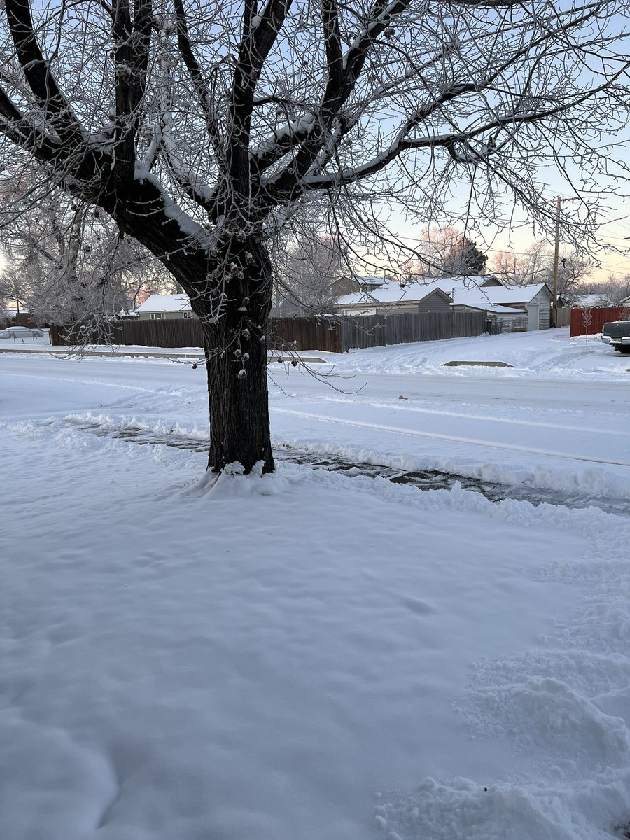JehseaLynn's tweet photo. @thedavidcrosby @TG22110 @stiflersmomsays @stevesilberman @WardQNormal @MontMaxton https://t.co/Pus9SIhqRC  Good Morning from the deep freeze! It’s now -8° up from -12° &amp; I’m about to grab another cup of coffee ☕️ so here’s a pic with love from me to you! 💕 https://t.co/iNtLb9e1D1
