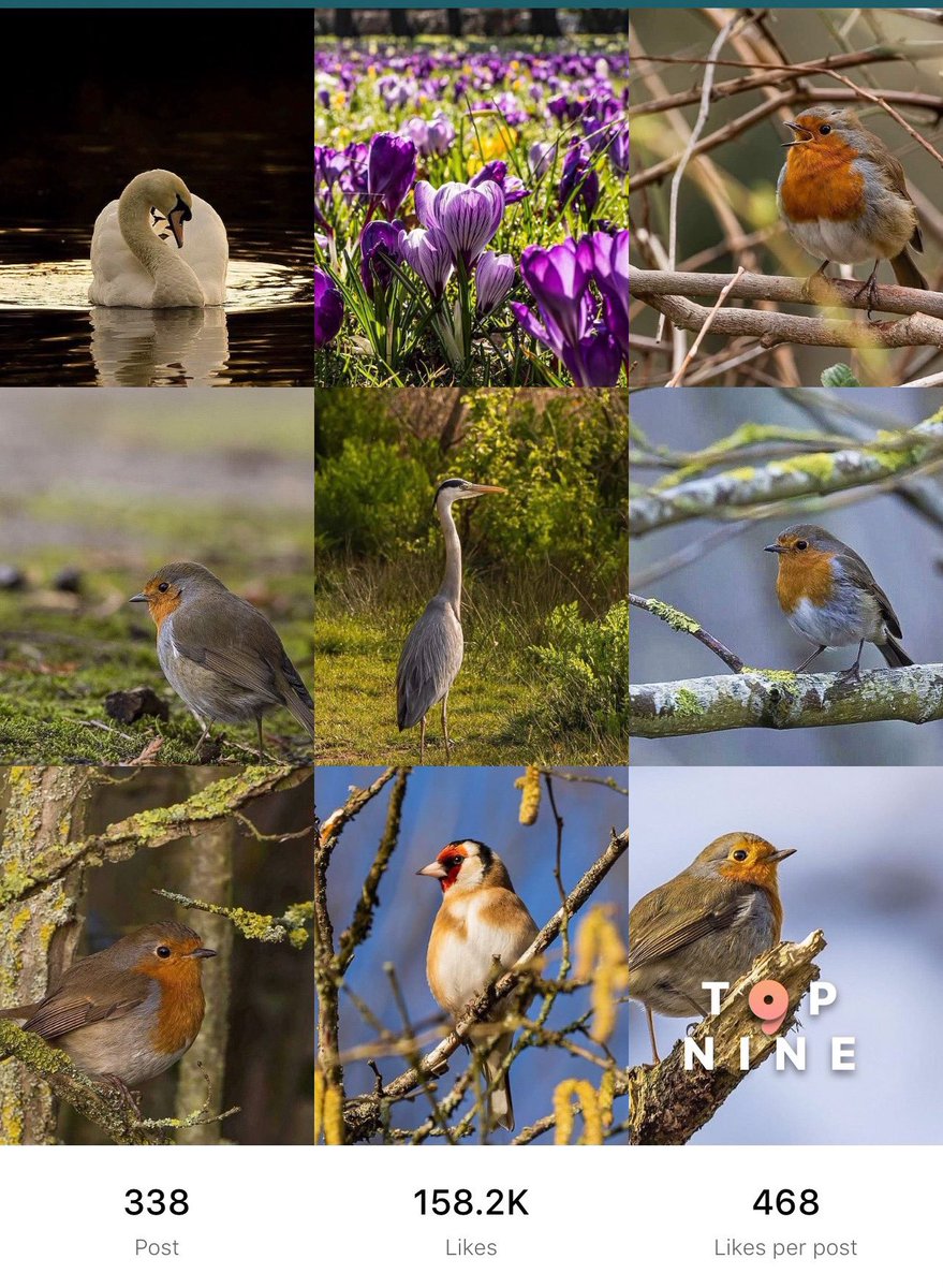 My top 9 Instagram posts for 2021. Thank you to everyone that likes and comments, and follows me on Twitter. #top9 #BestOf2021 #olympus <a href="/OlympusUK/">OM Digital Solutions</a> @getolympus <a href="/kfconceptglobal/">K&F CONCEPT</a> @LCEGuildford1