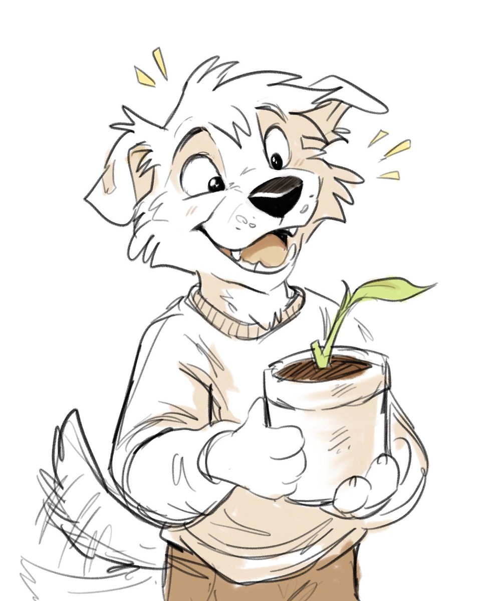 dexidoodles's tweet photo. when your plant baby gets a new leaf🌱✨ https://t.co/VsacJjpn3S