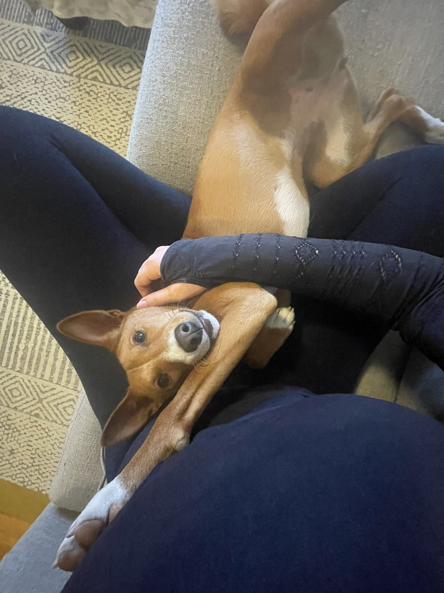 Lynne Carty tweet media