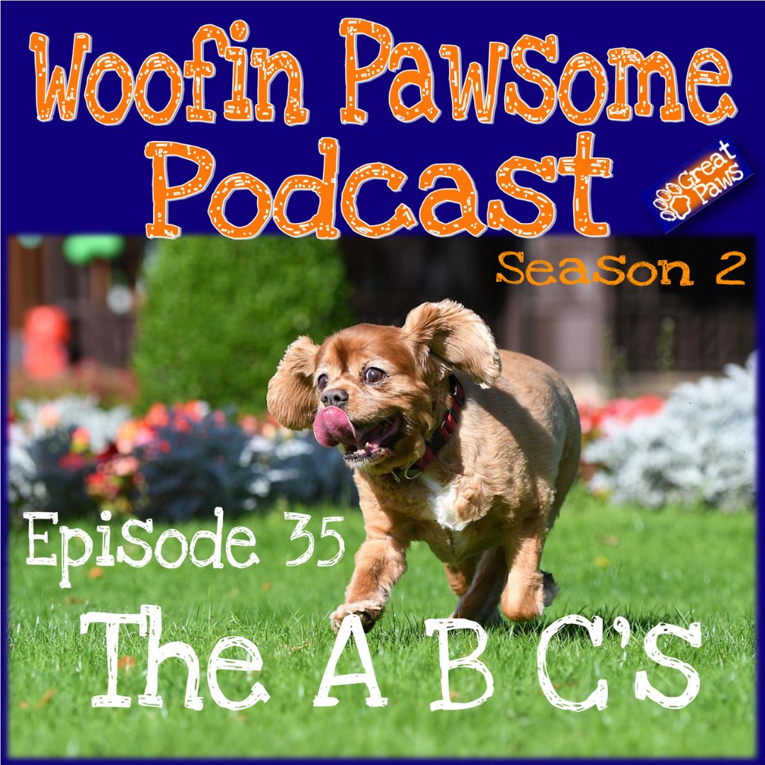great_paws's tweet photo. Woofin Pawsome Podcast

Episode 35 - the first of 2022 has been released! 

In this episode we dip our toe Into one of the core models we can use when training our dogs or wanting to tackle a less desirable behaviour. 

#greatpaws #greatpawsgang #podcast #dogtraining #dogs https://t.co/FTML0CwE5c