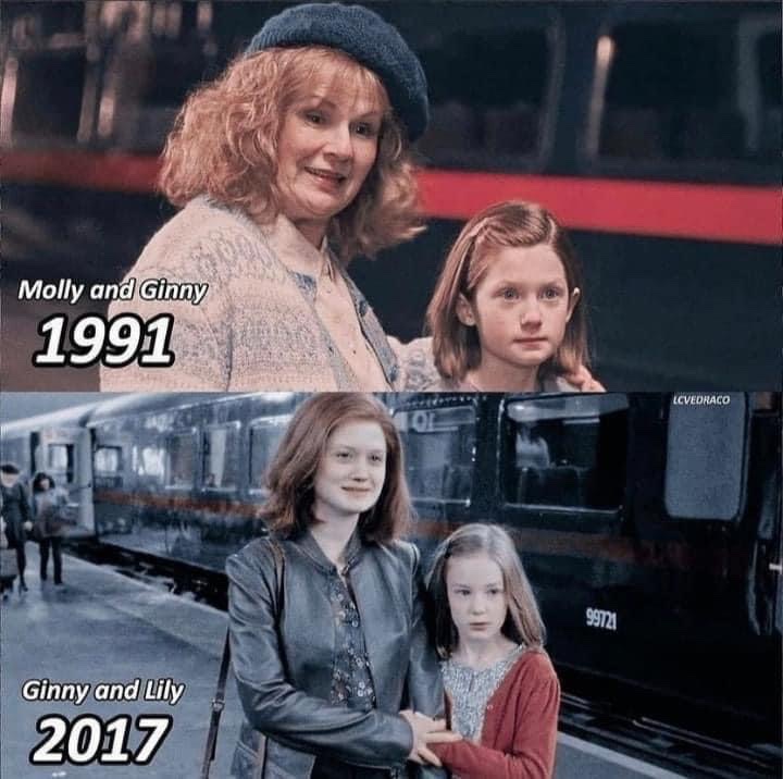 TheDailyHPotter's tweet photo. The best ones grow up the fastest 🥰 https://t.co/whmGUZPCla