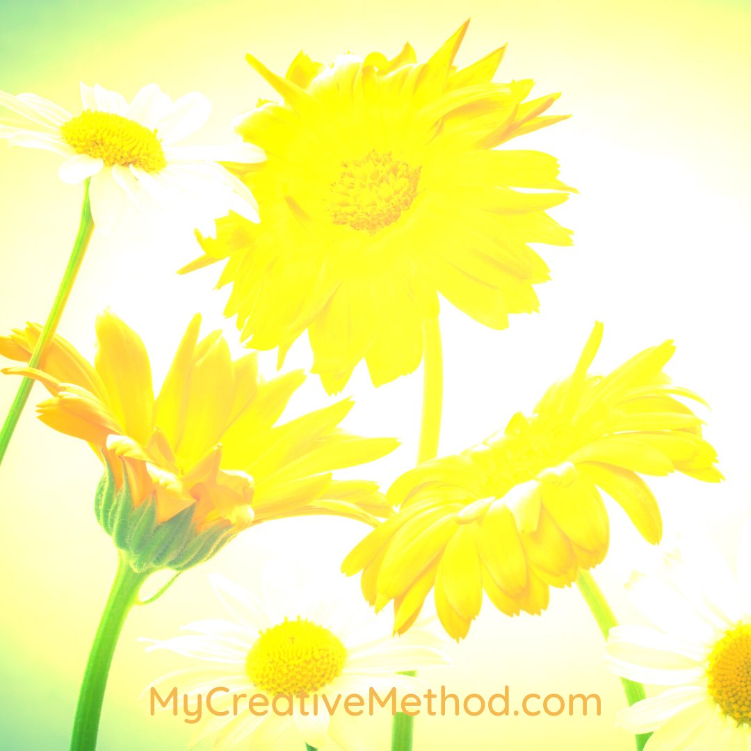 CreativeMethod_'s tweet image. It&apos;s your time.
2022 is yoru year
Are you ready to blossom?
DM and ask me how
.
.
.
#nature  #naturephotography  #naturelovers #landscape  #travelphotography #wildlife #beauty  #sky #flowers