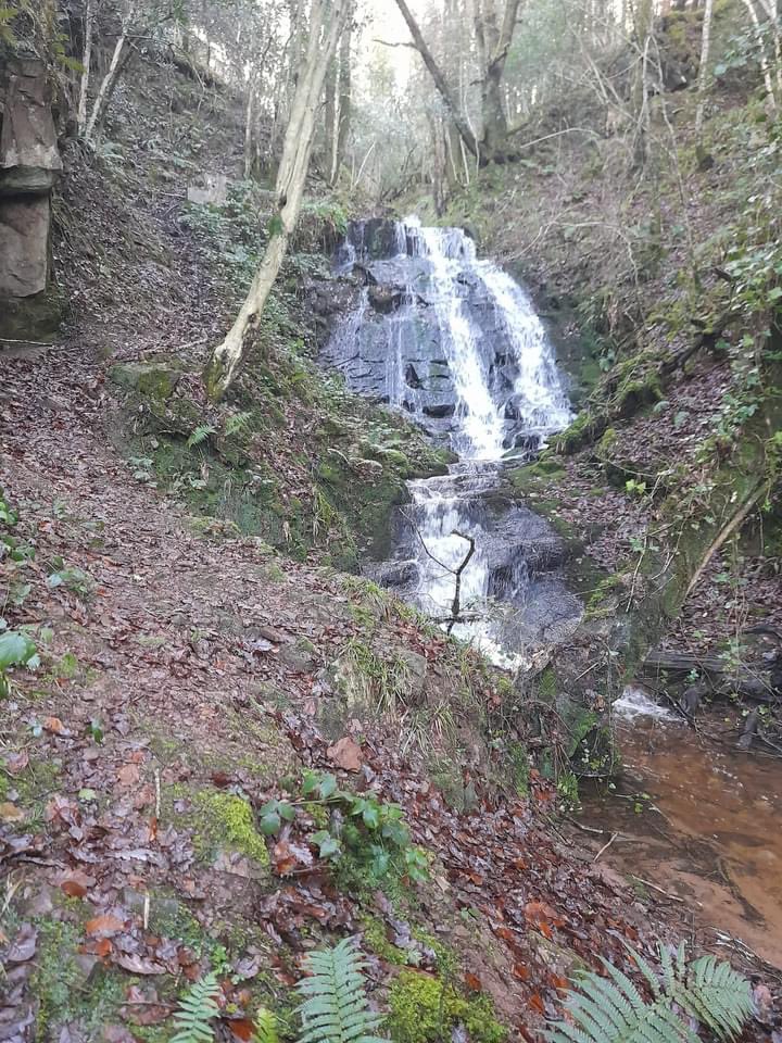 GalteeWalking's tweet photo. A selection of photos from todays club walks https://t.co/M4yItNUkLs