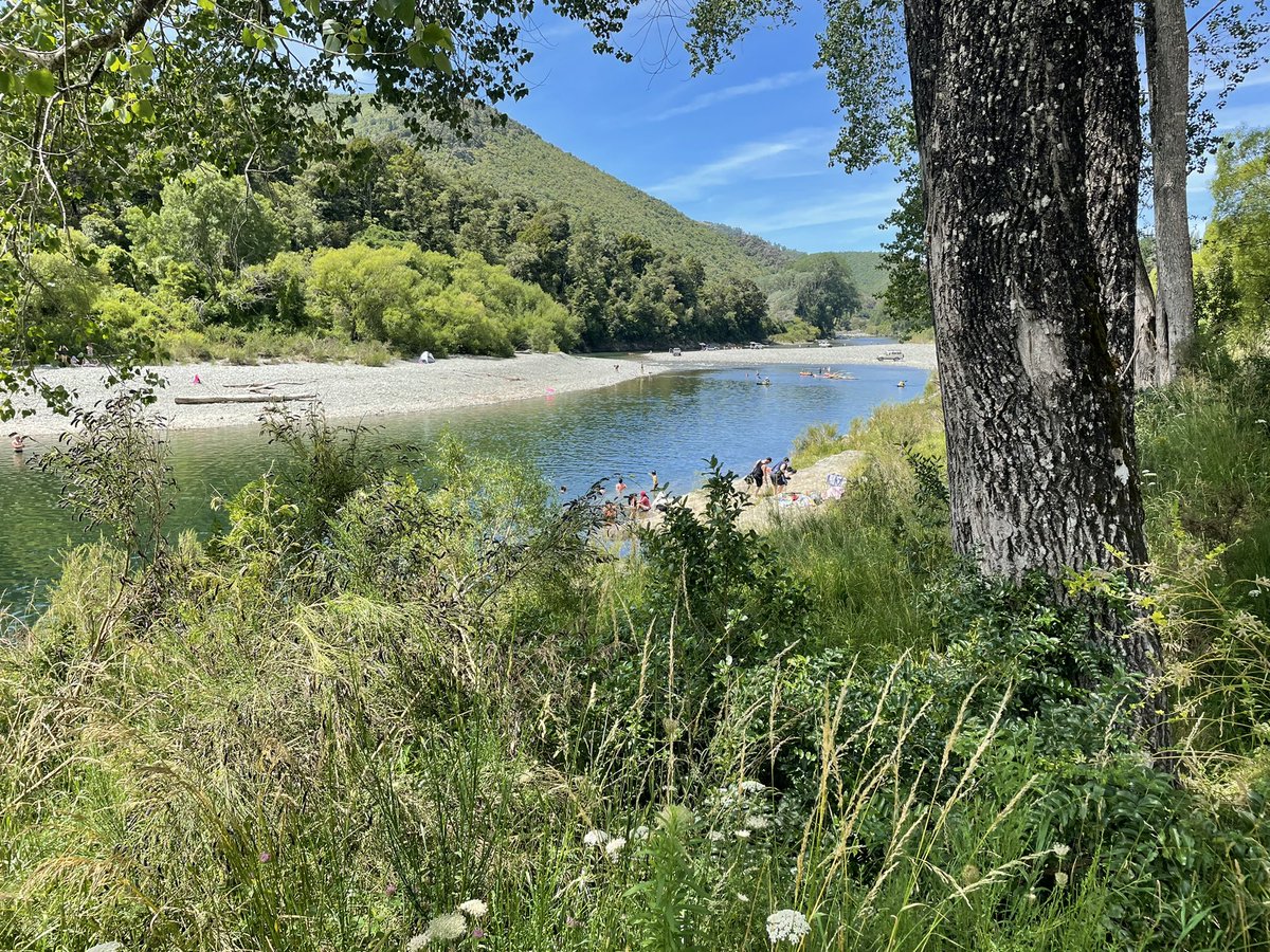Jazz5755's tweet photo. Beautiful day at the Pelorous River https://t.co/GUTCsokI7B