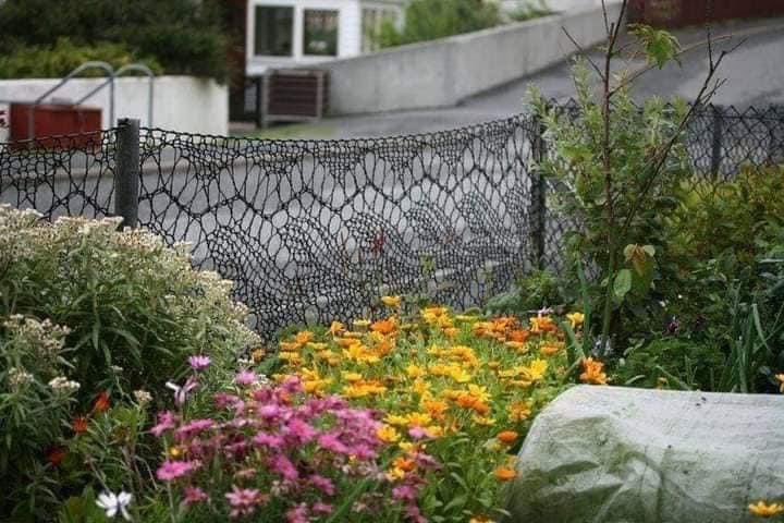 amandajanewd's tweet photo. Anne Eunson decided to knit herself a fence using twine. The same kind that is used to make fishing nets. knitted on specially adapted curtain rods. It took about 3 weeks to knit enough lace to surround her front garden, using a 23 stitch repeat of familiar Shetland lace pattern. https://t.co/27kRLzNIS0