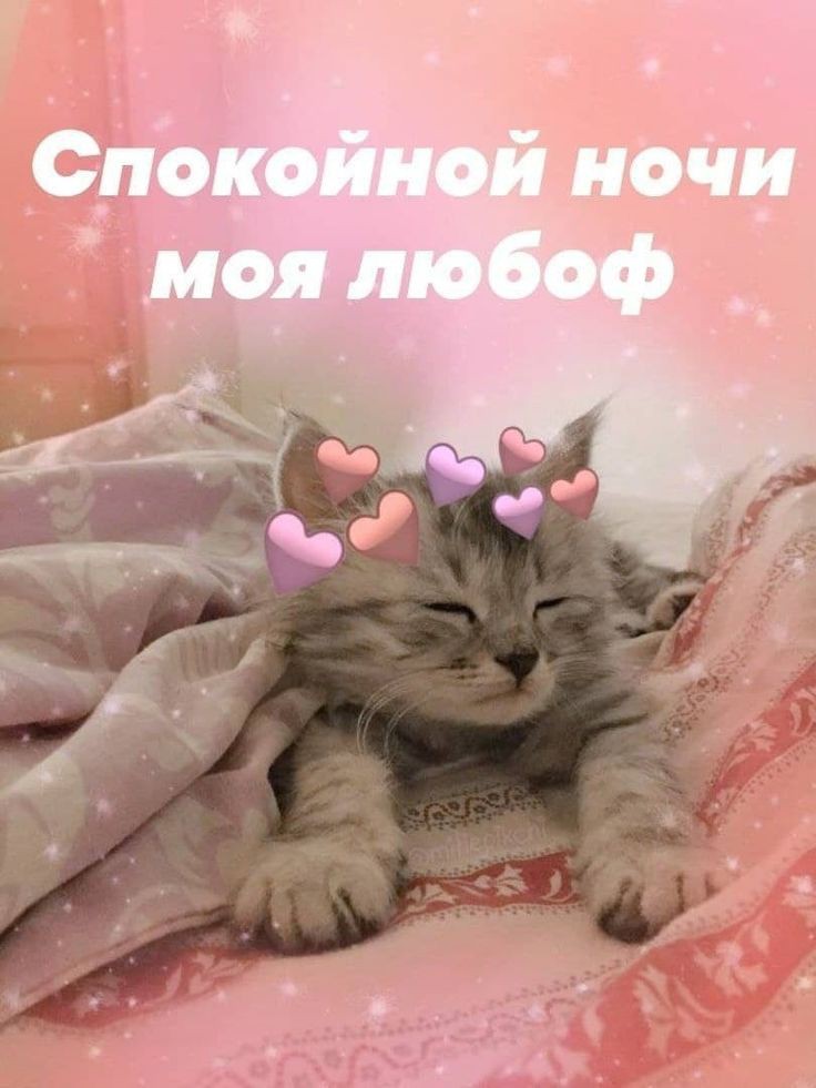 Всем споки ноки, зайки
Сладких снов, завтра обязательно будет лучше♡♡♡