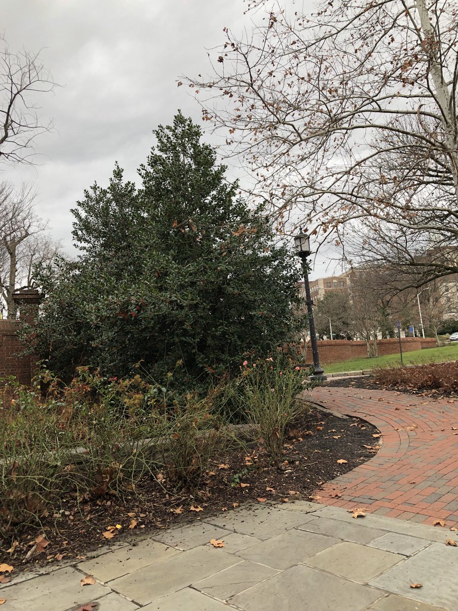 DanaEquityChief's tweet photo. A lovely spot to pause and reflect before finishing all the miles. #BeautifulBaltimore #BeautifulJHU https://t.co/jZLxXo8uuv