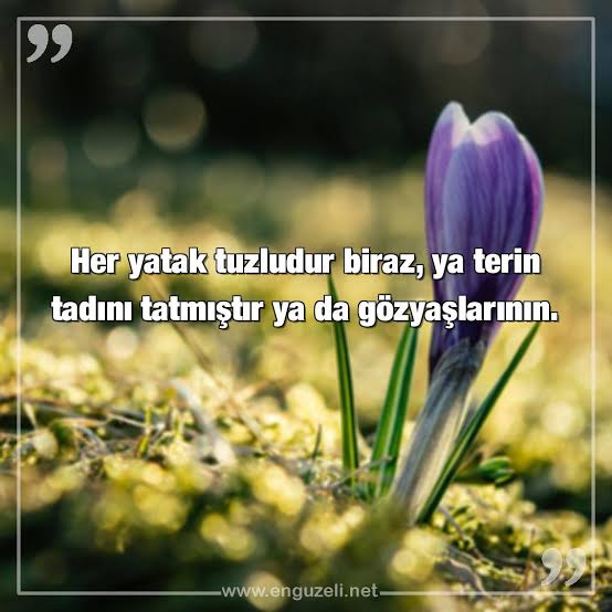 Ah!! Geceler 
Dualarıma gizledim seni🤲