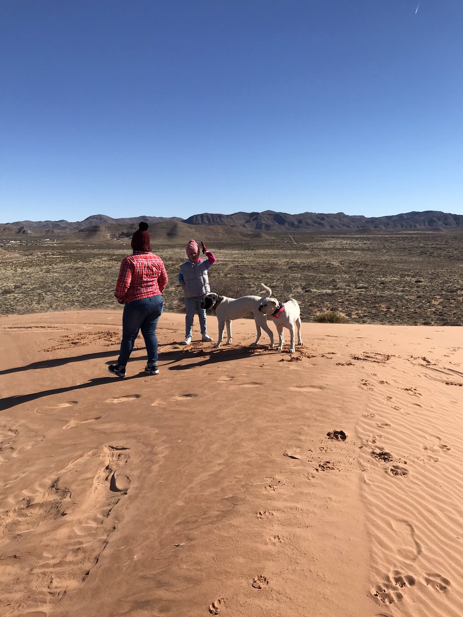 Jdaniel915's tweet photo. Beautiful Sunday morning #ElPaso #redsands #bulldoggin #americanbulldog 🐾💯 https://t.co/h9n6Flnxkb