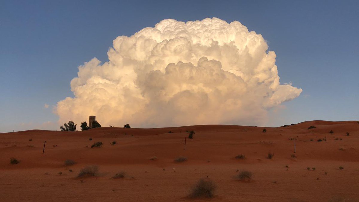 التقطتها قبل قليل 
ما رأيكم بها؟