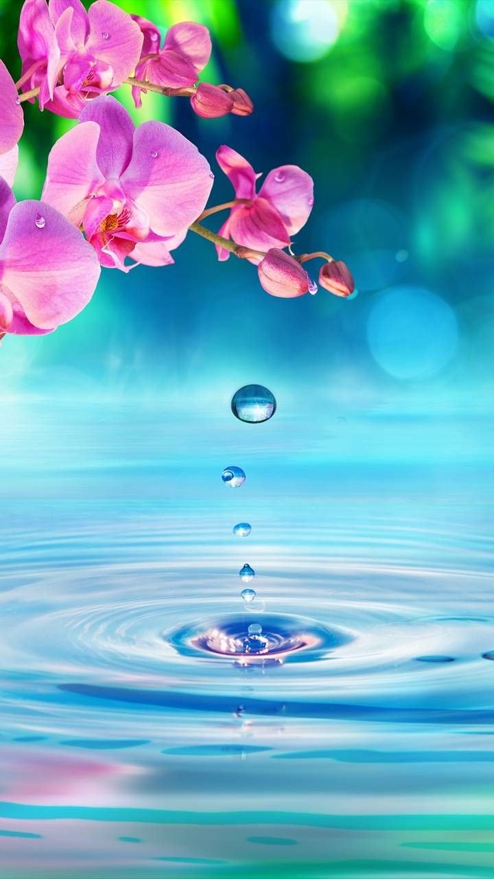💫YO SOY UN MILAGRO DE DIOS🙏 on Twitter: 💫YO SOY UN MILAGRO DE DIOS🙏 on Twitter:
