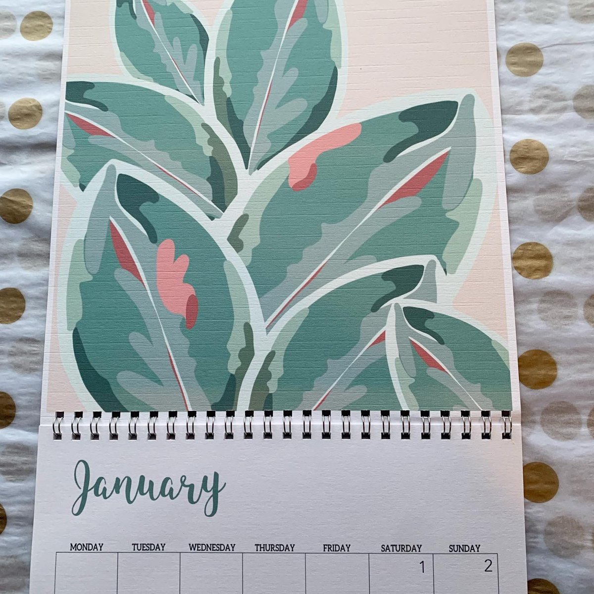 WellLush2's tweet photo. Be gentle 2022
#2022goals #newyear #newyear2022 #hellojanuary #planer #calendar #goalsetting #makingplans #plans #plantcalendar #plants #plantprints #plantlover #plantlove #plantsofinstagram #printsforsale #etsyseller #etsyshop #etsyowner #etsyuk #smallbusiness #totheyearahead https://t.co/IUU0UX8eaC